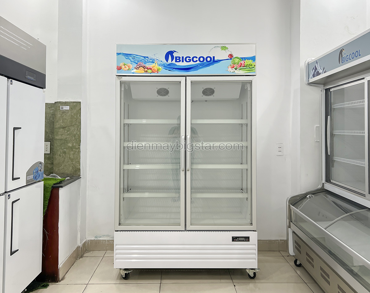 tu mat 2 canh quat lanh say kinh pl 1200f tr 3 1