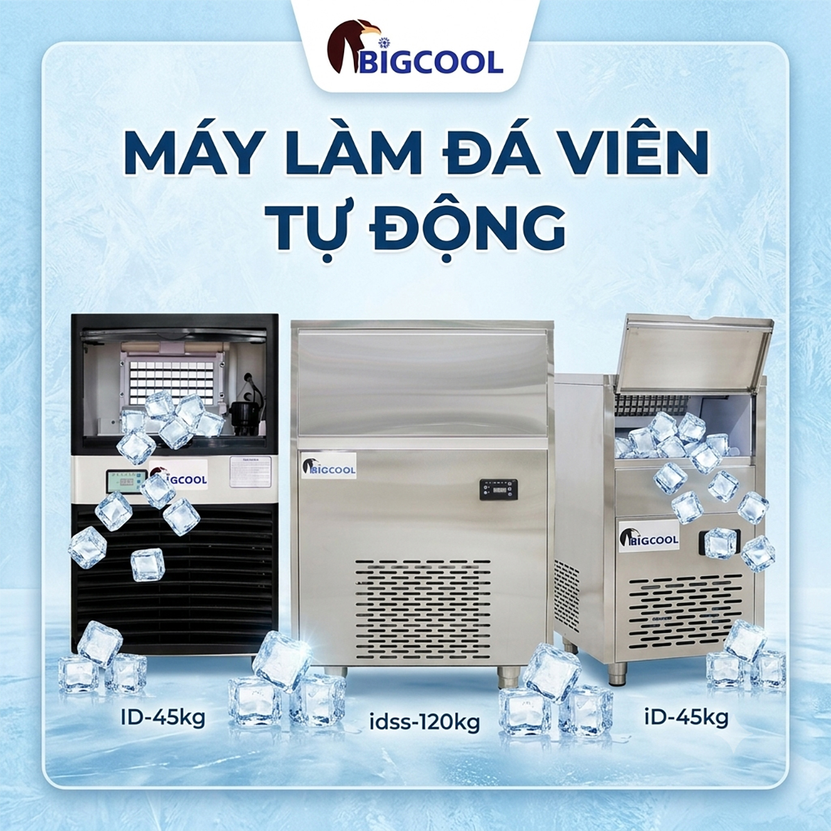 may lam da tu dong banner