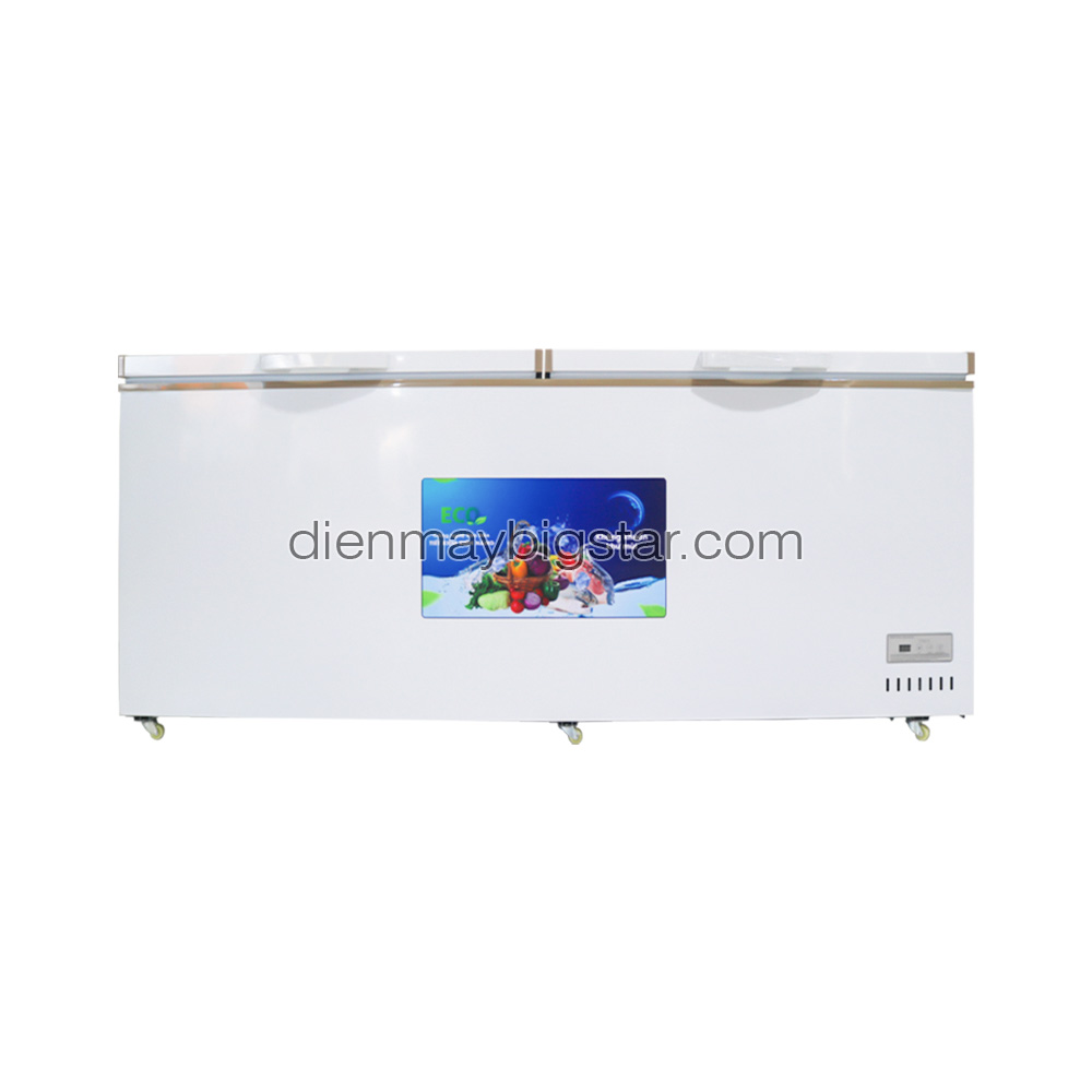 Tủ đông nằm 700L 1m7 BigCool SS-700L