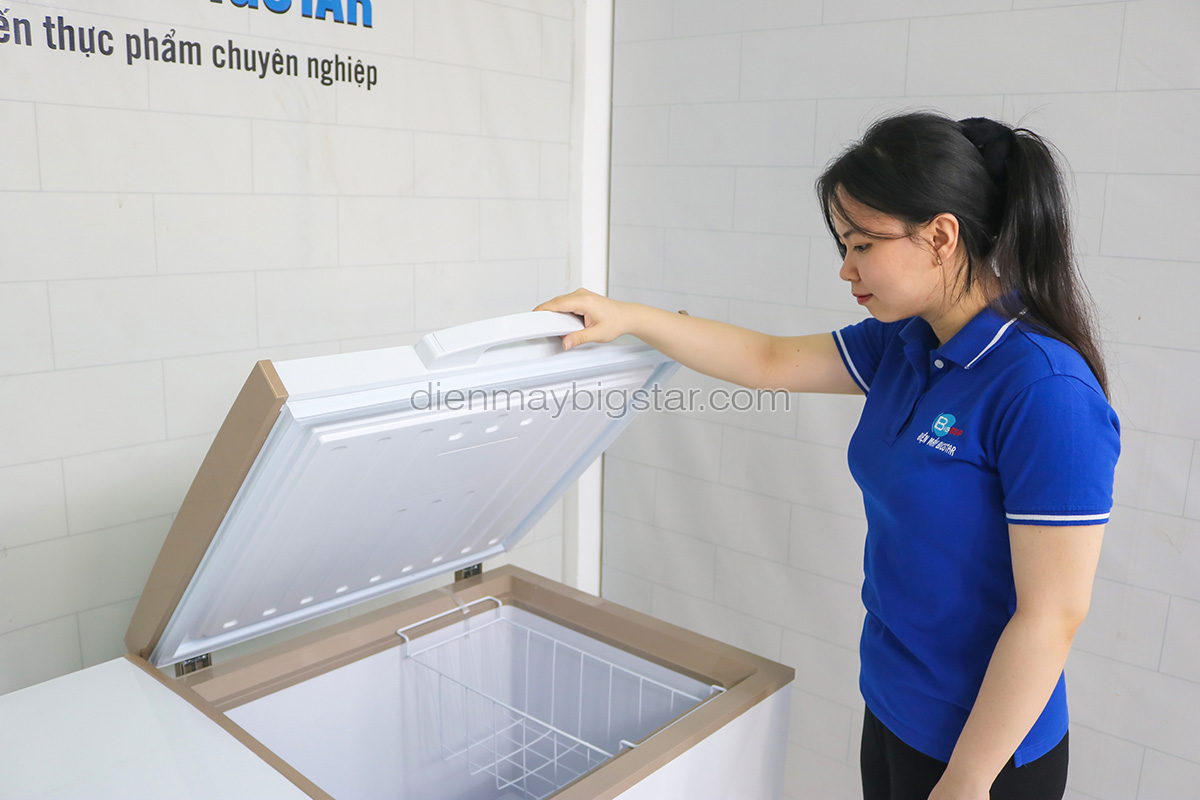 Tủ đông lạnh công nghiệp bảo quản thực phẩm có những loại nào? 7 image 100