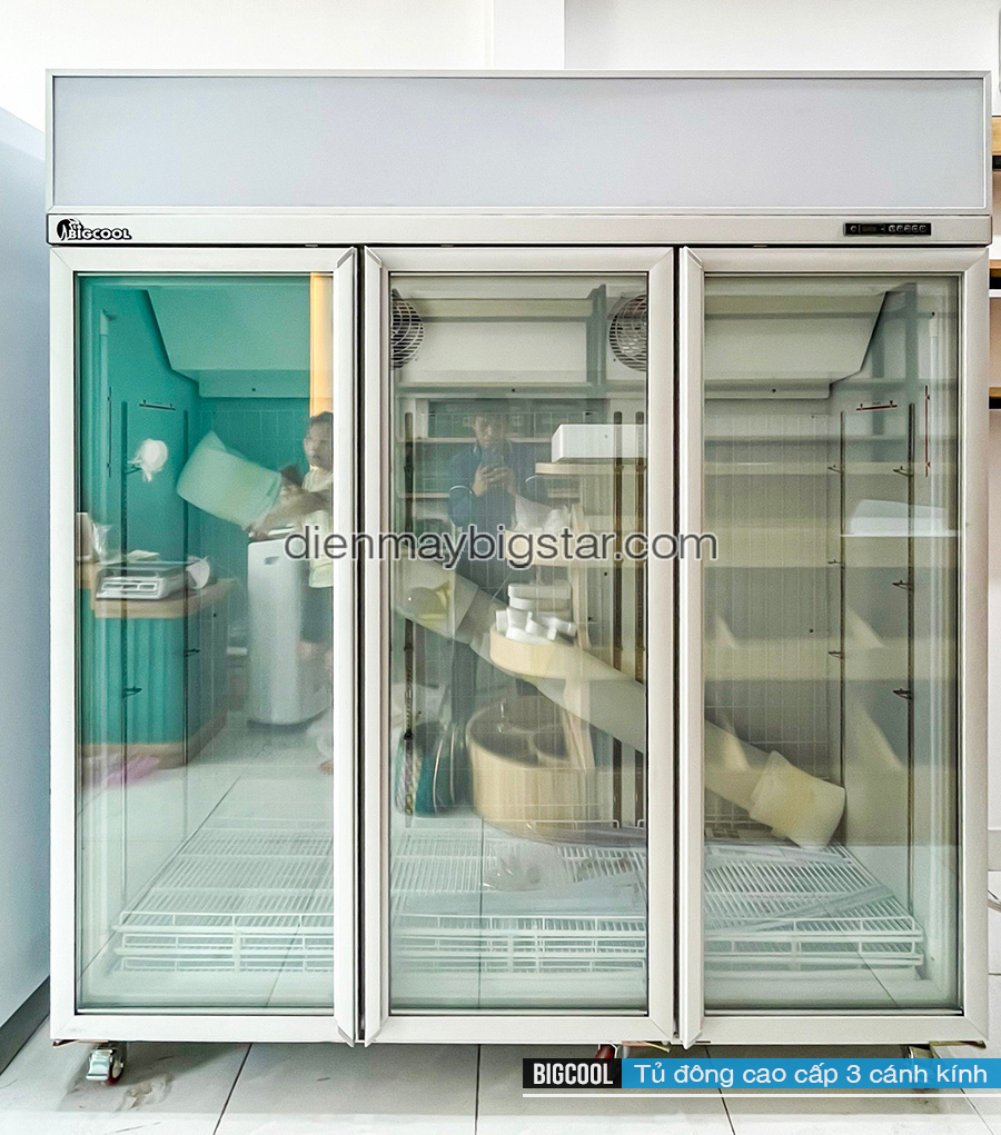 5+ mẫu tủ đông trưng bày mặt kính giá rẻ tiết kiệm điện 13 image 108