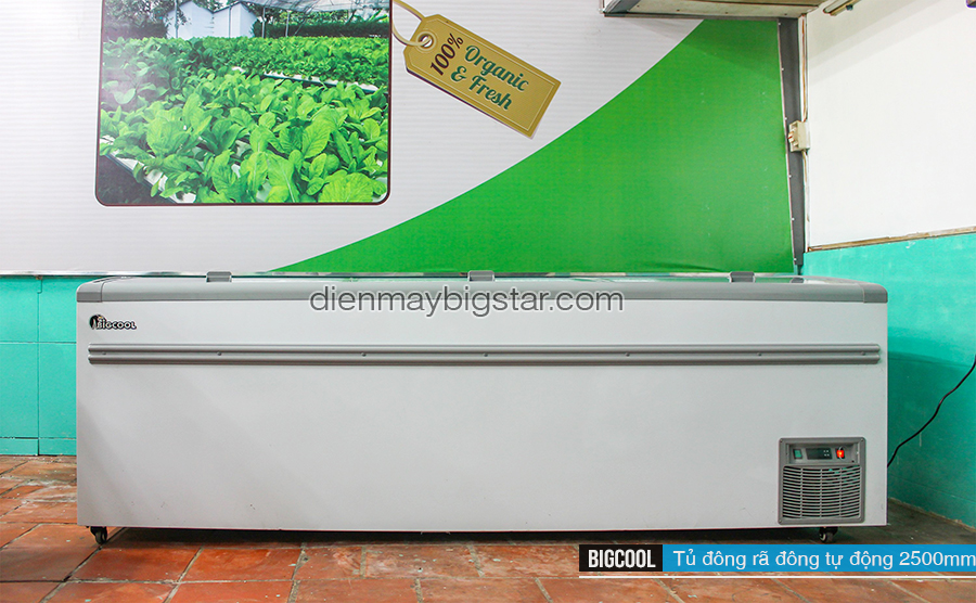 5+ mẫu tủ đông trưng bày mặt kính giá rẻ tiết kiệm điện 8 image 115