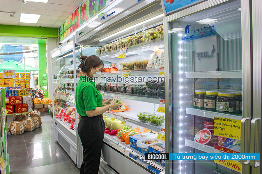 tủ mát đứng