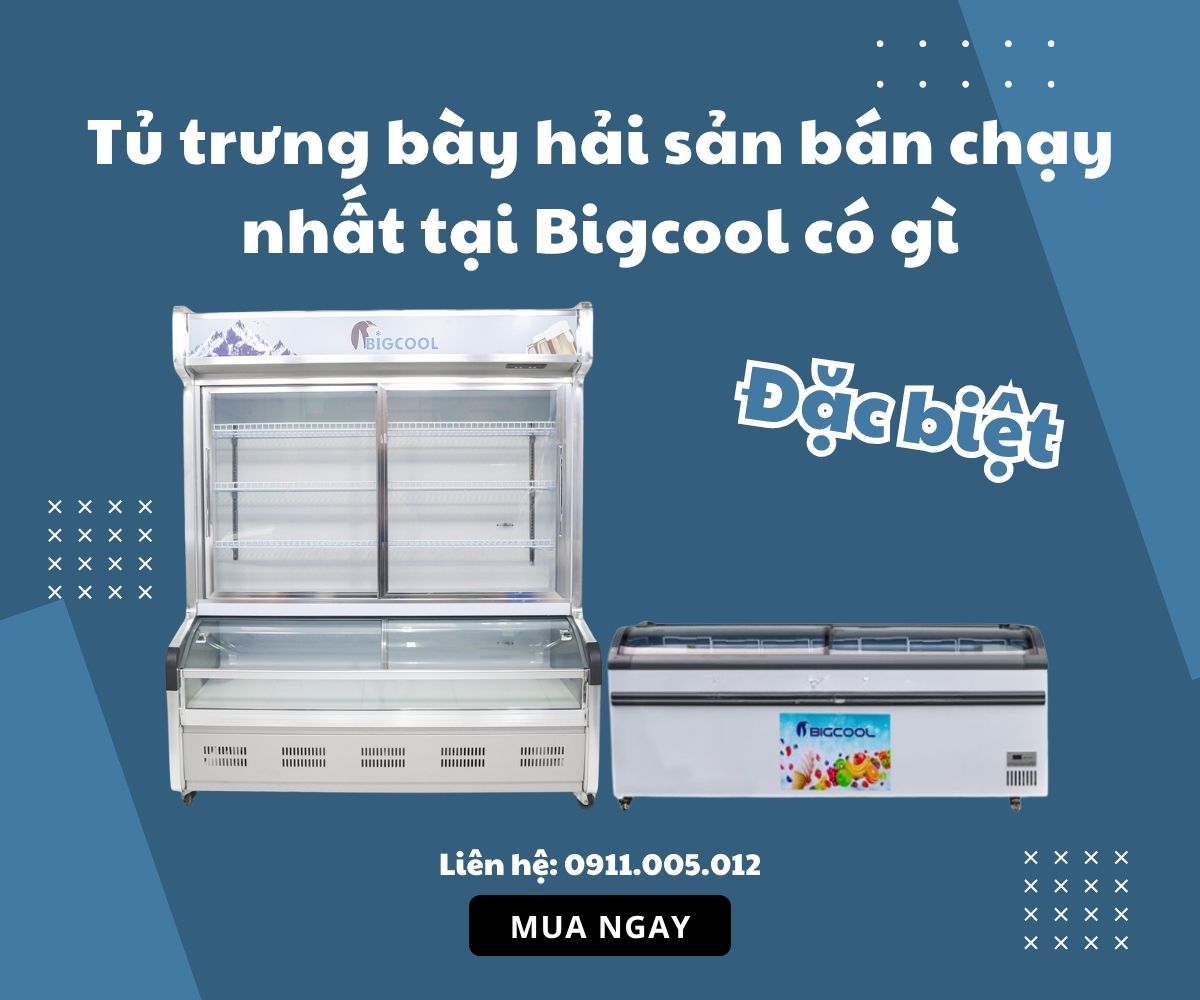 tu trung bay hai san ban chay nhat tai bigcool