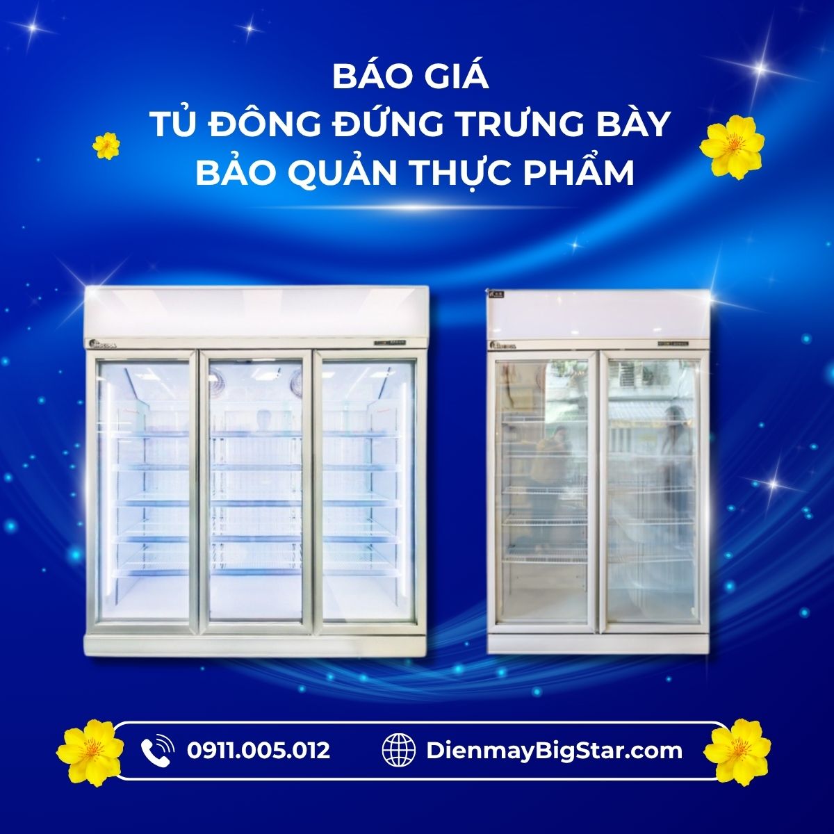 tủ đông đứng trưng bày