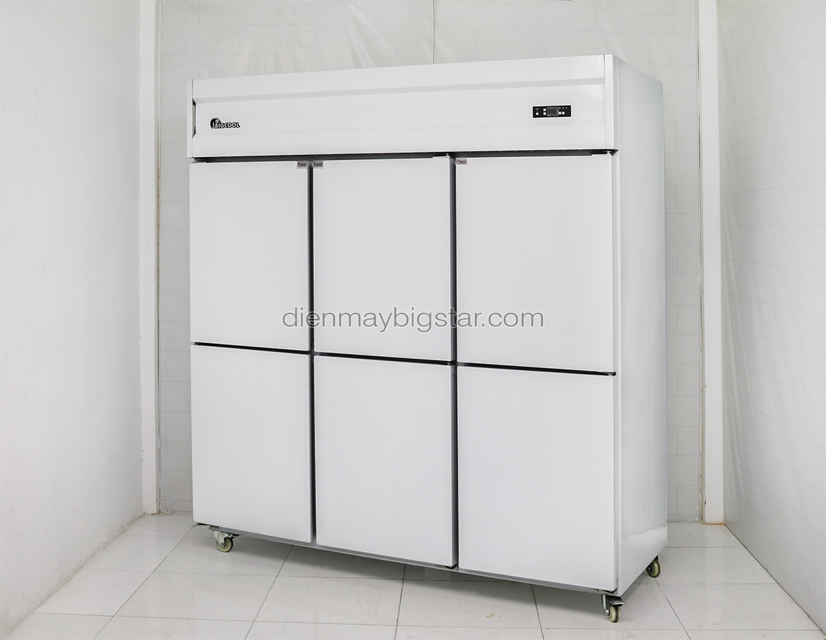 Review mẫu tủ đông 6 cánh dung tích lớn cho nhà hàng siêu thị quán ăn 12 image 10