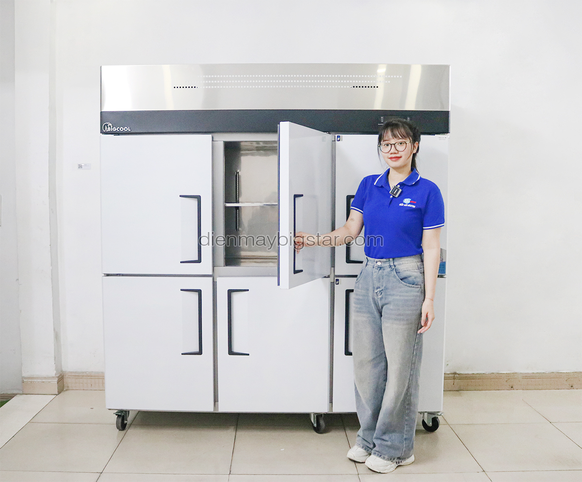 Review mẫu tủ đông 6 cánh dung tích lớn cho nhà hàng siêu thị quán ăn 3 image 8