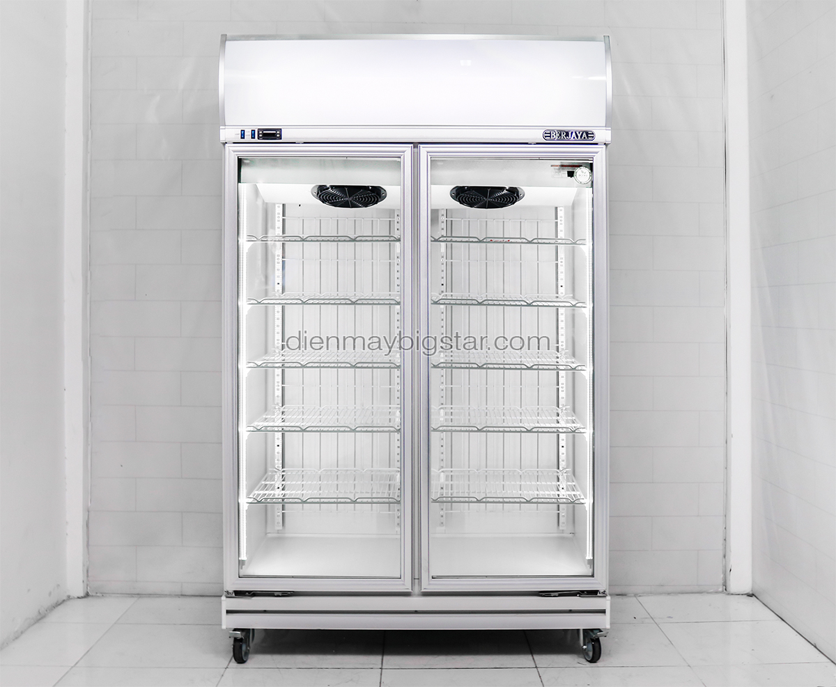 Tủ đông công nghiệp nên dùng hãng nào tốt nhất hiện nay 12 tu dong 2 canh berjaya 1