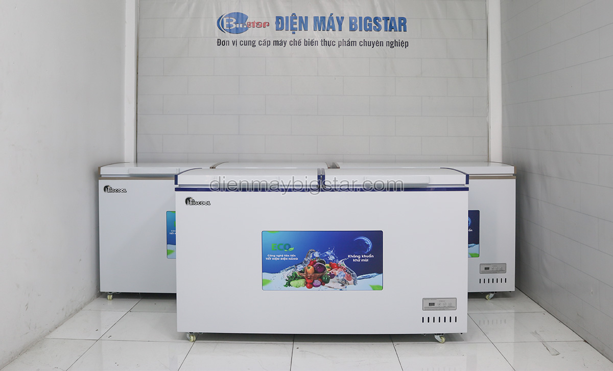 Tủ đông công nghiệp nên dùng hãng nào tốt nhất hiện nay 3 tu dong mat bigcol tr 1