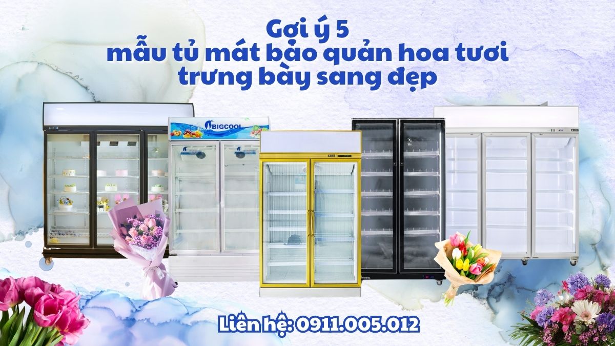 goi y 5 mau tu mat bao quan hoa tuoi trung bay sang dep